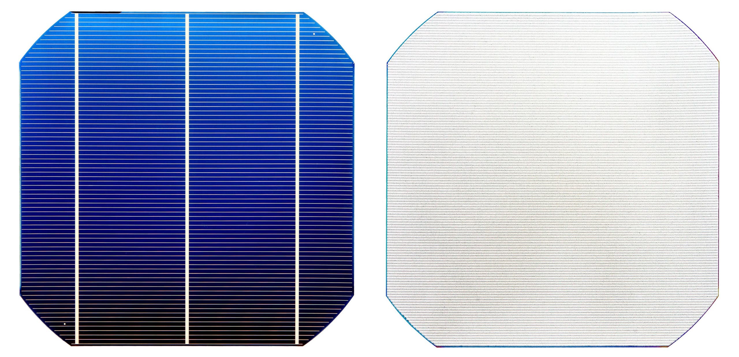 Lato frontale e posteriore di una cella fotovoltaica PERC, con i contatti posteriori a dita ben visibili